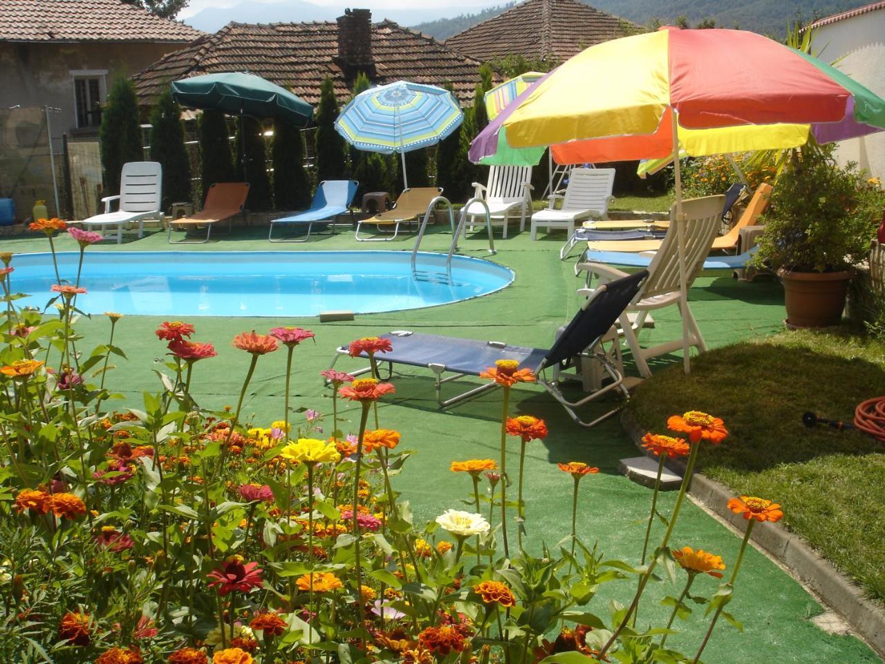 Guest House Camellia Berkovitsa Exterior foto