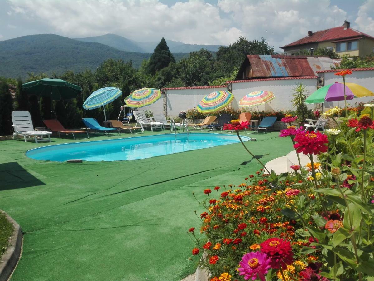 Guest House Camellia Berkovitsa Exterior foto